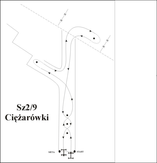 Sz2_ciezarowki.jpg