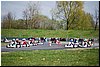 karting2 283.jpg